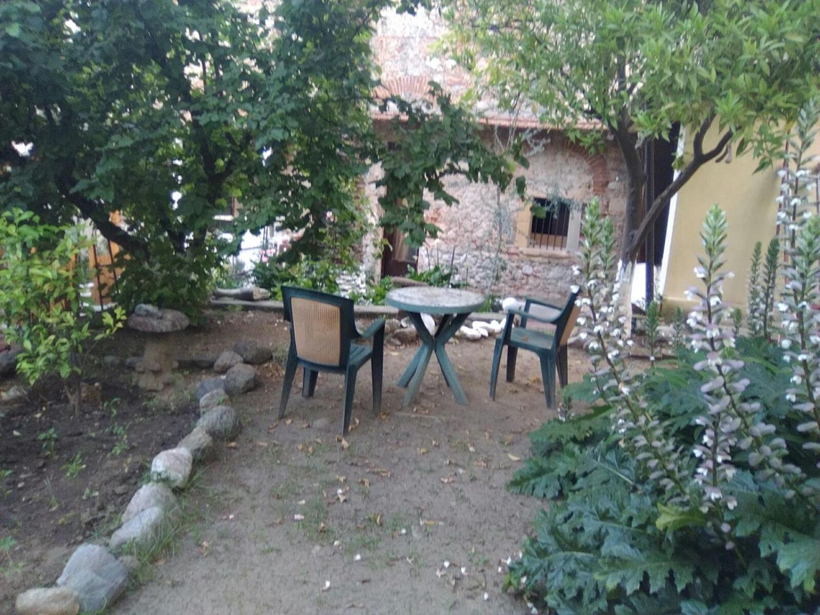 Old Garden Bed & Breakfast Cosenza Bagian luar foto
